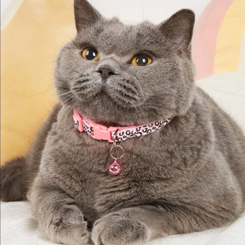 2pc Leopard Print Collars 🐈